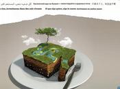 Mundial Lucha contra Desertificación junio Naciones Unidas