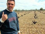 Alfredo Maestro: viticultor autodidacta “magister wine”