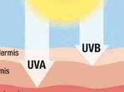 PROTECCIÓN SOLAR. importancia protegernos sol.