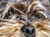 Estamos Agustito Venga rapiditooo... #funny