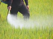 Cóctel productos químicos comunes pueden desencadenar cáncer