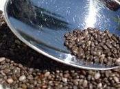 Cinco sustitutos saludables para Recetas