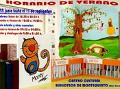 Horario especial verano Biblioteca Montequinto