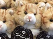 Hunger Games Exhibition: Buttercup tiene peluche oficial