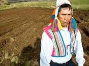 Concentración Tierras Economía Peruana 2015 propósito proyectos 763/2011-CR, 785/2011-CR, 2397/2012-CR 4098/2014-CR