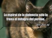 Perdona para Violencia dormine