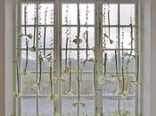 Decorar ventanas flores