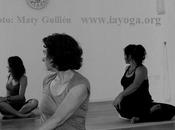 Asamblea General Extraordinaria Socios IAYoga: Renovación Junta Directiva, Información Proceso Acreditaciones Andalucía Instructor Yoga, Perspectivas Formación Yoga