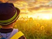 ¿Por sigues sueños?