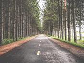 fechas olvidan… años aquí.