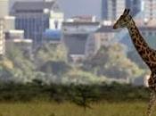 Turismo Nairobi, ciudad moderna Kenia