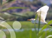 naturaleza Bahía Cádiz