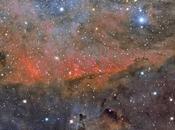 Nubes estrellas Cygnus