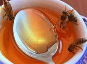 Miel para gripe resfriado Honey colds flu.