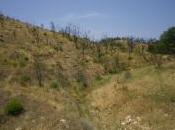 Incendios Sierra Norte