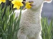 ¿Qué clase habría este mundo?