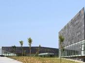 Envuelto sobre dunas