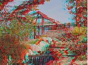 Encuentran gérmenes lentes