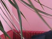 Rincón Favorito Elisabeth