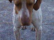 Sugus, pide tanto sólo rinconcito corazón