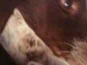 Acogida urgente Sevilla favor, parte alma verla