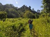 Brunei: búsqueda cascada secreta