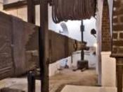 Visita bodegas Aljarafe