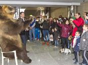 ¿ADIESTRAR ANIMALES EQUIVALE TORTURARLOS? veces impresión muchas biempensantes bienintencionadas personas animales como otra especie tratara; aquel juez argentino determinó orangut...