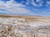 Salar Atacama. Chile