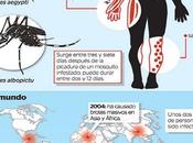 Nuevos tipos mosquitos peligrosos