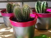 DIY: Maceta neón para cactus