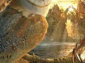 Ga´hoole: Zack Sneyder para niños