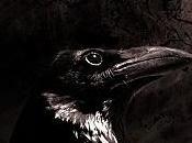 Saga Crow's row, Libro Julie Hockley