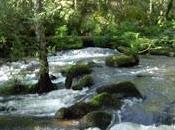 transformando energía negativa POSITIVA