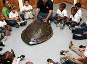 Grupo Puntacana realiza programa visitas para estudiantes