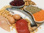 Alimentacion deportiva proteínas Constructoras Regeneradoras