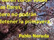 Pablo Neruda: luces sombras