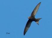 Operación salida...