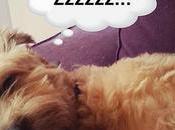 Estamos Agustito CVI. Aisss... Zzzz #funny