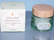 SAEM ICELAND WATER VOLUME CREAM Piel Grasa