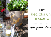DIY: Reciclar maceta
