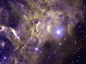 Aurigae