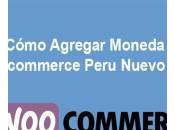 Cómo Agregar Moneda Woocommerce Peru Nuevo