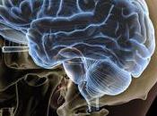 Proyecto Brain