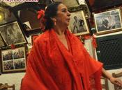 Flamenco Granada