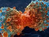 azar descubre proteína podría combatir todos cánceres