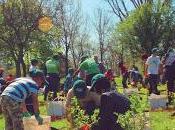 Recuperación áreas verdes: Quilicura plantará árboles Valle Campino