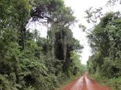 Parque Provincial Yatay creado para preservar ecosistemas misioneros lindantes Cataratas Iguazú.