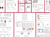 Ejercicio evaluación diagnóstica grado 2015-2016