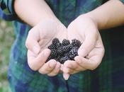 Recogiendo moras (Blackberry picking)